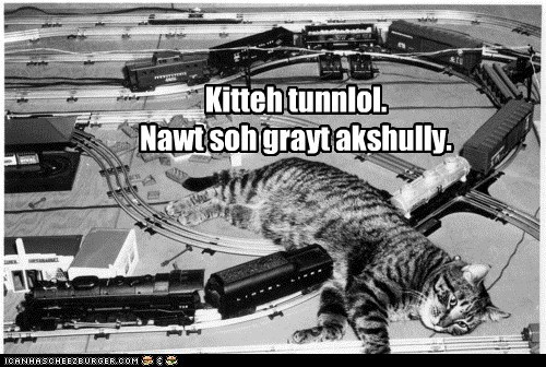 Kitteh tunnlol.