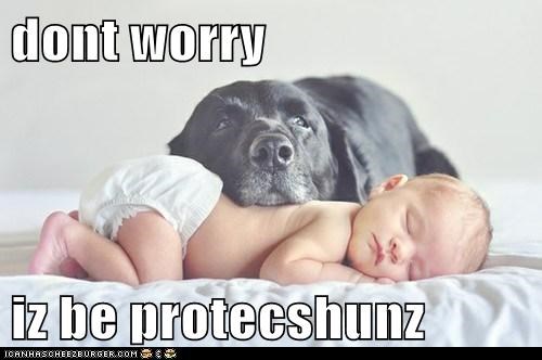 dont worry  iz be protecshunz