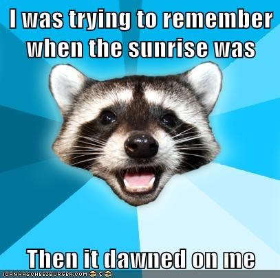Lame Pun Coon's All Set for Next Time
