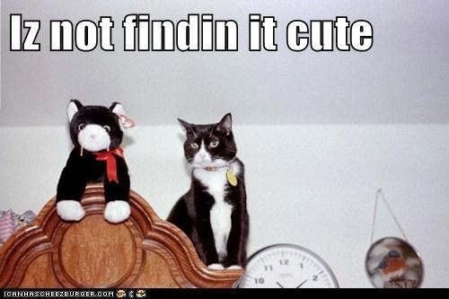 Iz not findin it cute