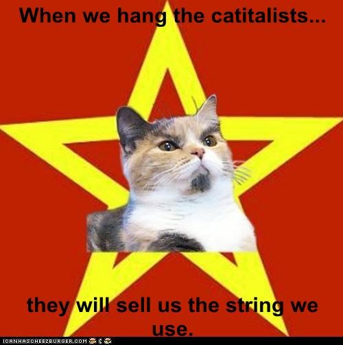 Lenin Cat: Did Somebody Say STRING?!?!?!?!
