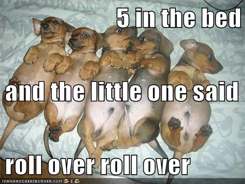 5 in the bed