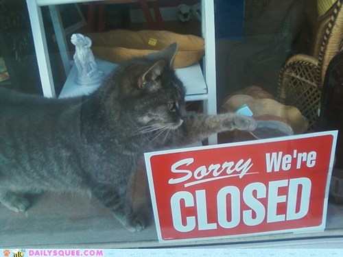Acting Like Animals: No, Seriously, We're Closed