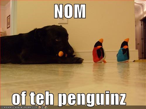 NOM  of teh penguinz