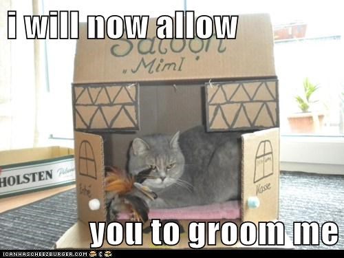 i will now allow  you to groom me