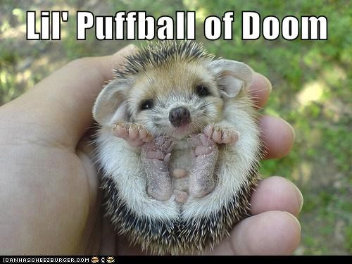 Ouch! And Spikey!