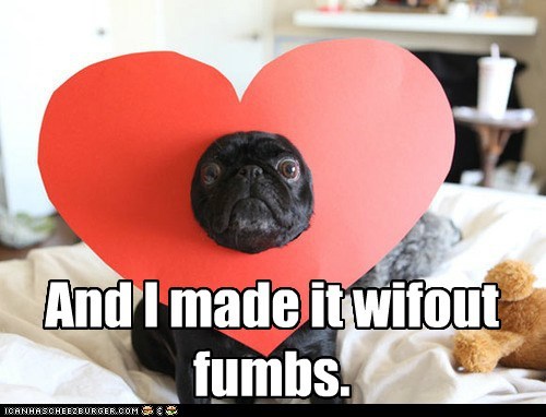 Valentine's Day Pug: And I made it wifout fumbs.