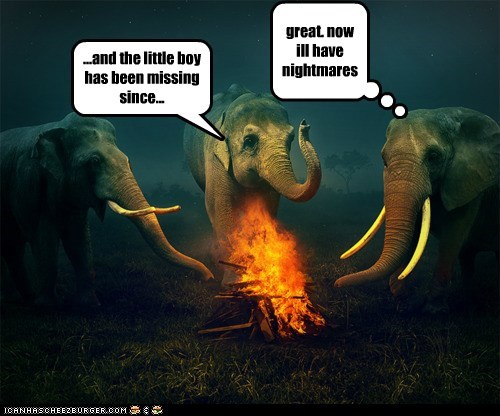Elephant Scouts