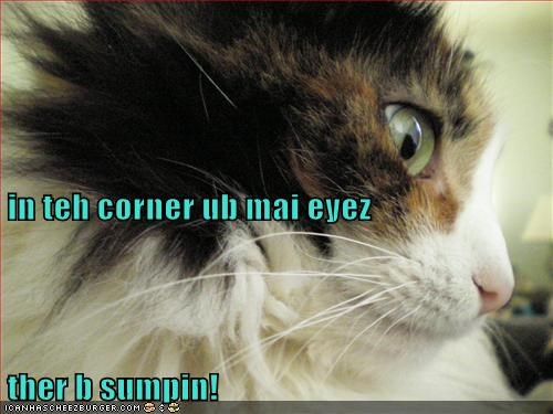 in teh corner ub mai eyez ther b sumpin!