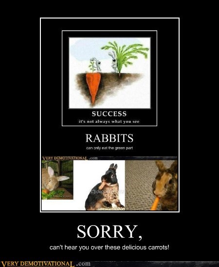 SORRY,