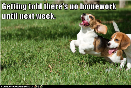 Getting told there's no homework until next week.