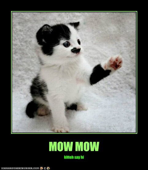 MOW MOW