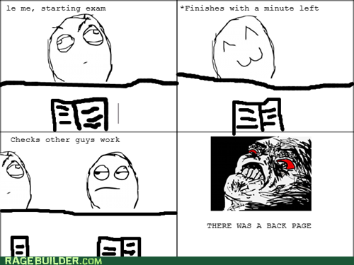 Rage Comics: It Was the Essay Section!