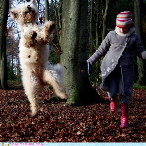 Acting Like Animals: Jumping for Joy