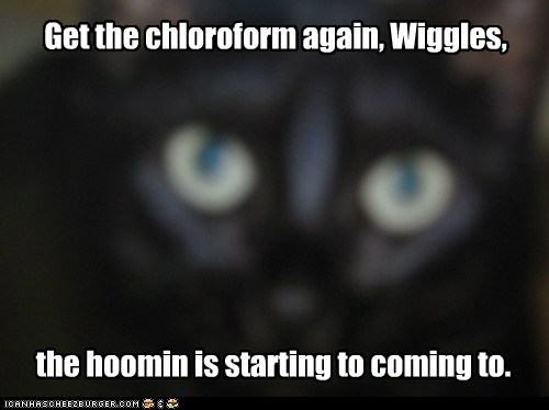 Lolcats: Wut Duz Dis Rag Smel Liek 2 U?