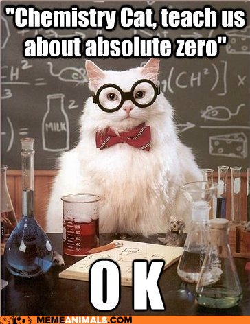 Chemistry Cat: I'm Learning, AND I'm Laughing!