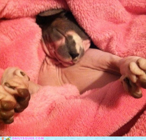 Reader Squees: Warm Percy