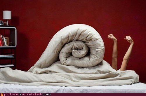 Bed Snail