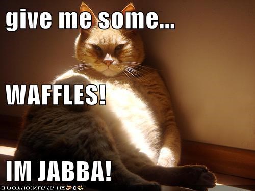 give me some... WAFFLES! IM JABBA!