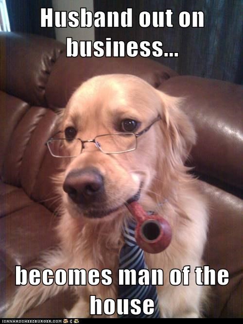 Husband out on business...