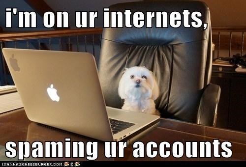 i'm on ur internets,  spaming ur accounts
