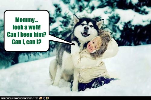 Mommy...look a wolf!Can I keep him?Can I, can I?