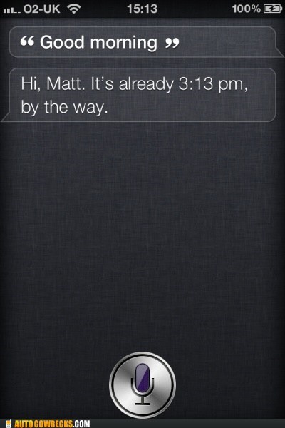 Dammit, Siri, Don't Judge Me