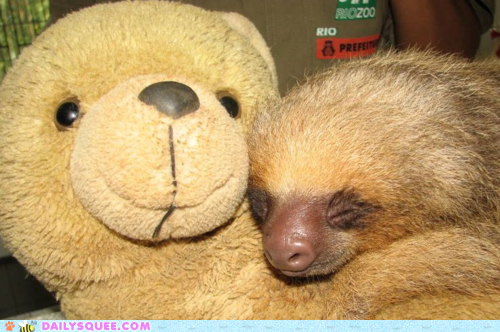Camouflage Cuddles