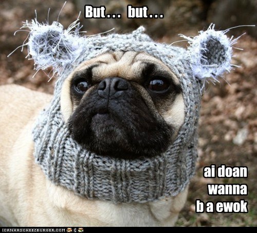 Ai wunts to b a Jedi!