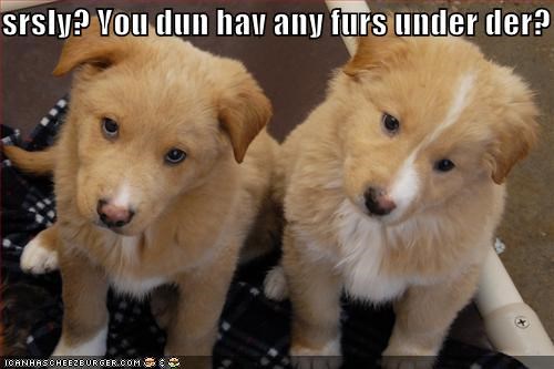 srsly? You dun hav any furs under der?