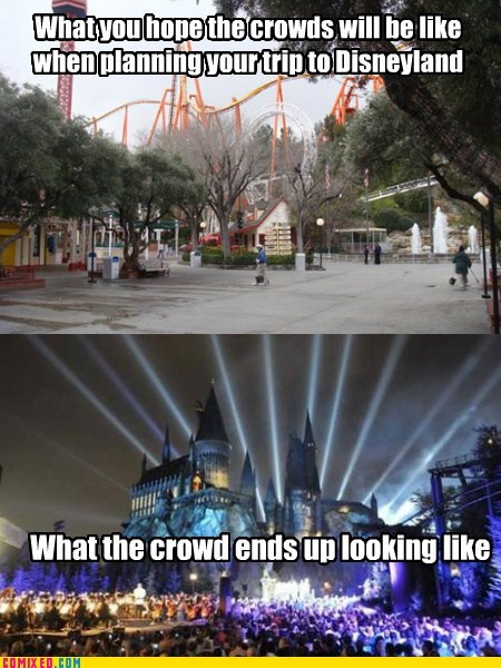 Disney Vacation