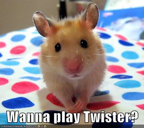 Would Love To!