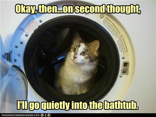 my human drives a hard baragin