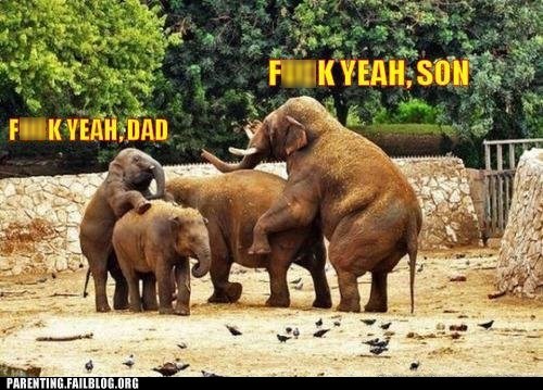 You show 'em Dad!