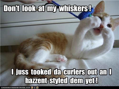 Don't  look  at  my  whiskers !