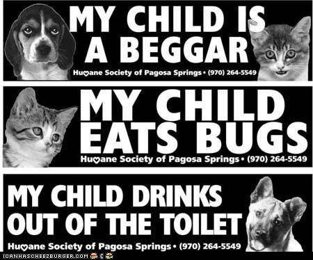 My Child Eats Bugs: Cute Bumper Stickers by the Humane Society of Pagosa Springs, Colo.