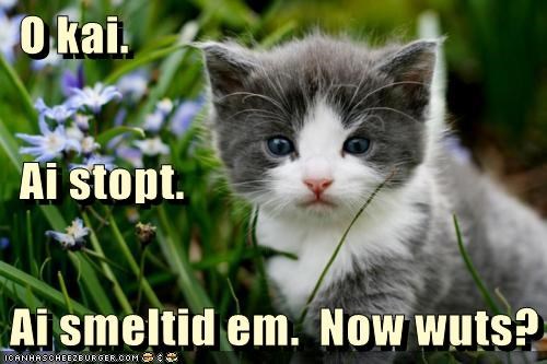 O kai.
