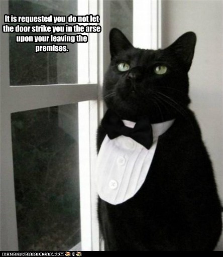 Lolcats: It is requested