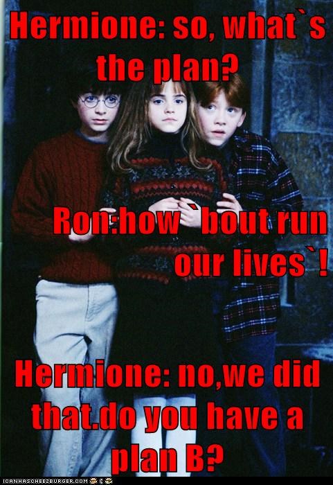 Hermione: so, what`s the plan? Ron:how `bout run our lives`! Hermione: no,we did that.do you have a plan B?