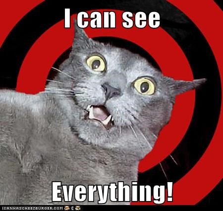 I can see   Everything!