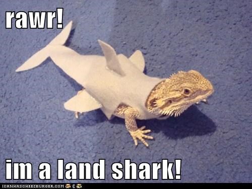 Animal Capshunz: I Think We're Gonna Need a Smaller Boat