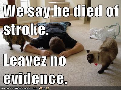 We say he died of stroke.  Leavez no evidence.