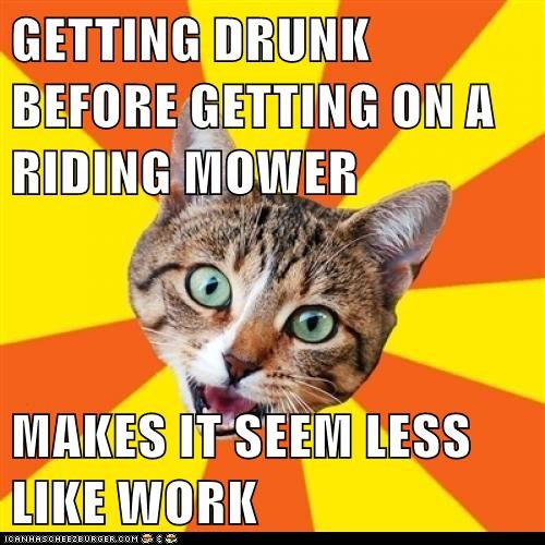 Bad Advice Cat: This Can Be Applied to Any Situation Involving a Motor Vehicle