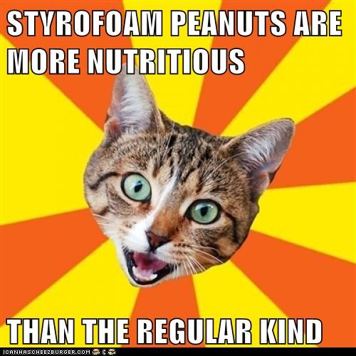 Bad Advice Cat: They're Tastier Too!