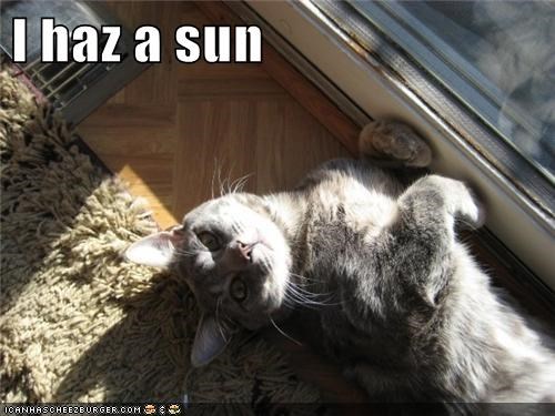 I haz a sun