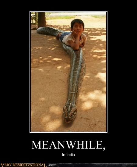 MEANWHILE,