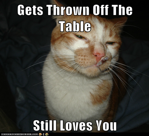 Cool Cat Craig: More Like "Gets Thrown Off the Table, Doesn't Jump Up Again"