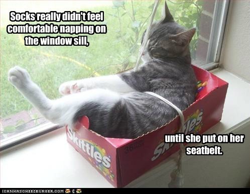 The booster seat helped