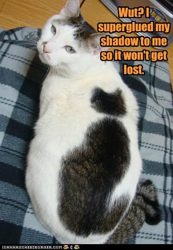 LOLcats: Shadowcat