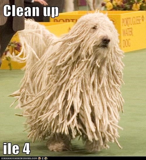 Clean up